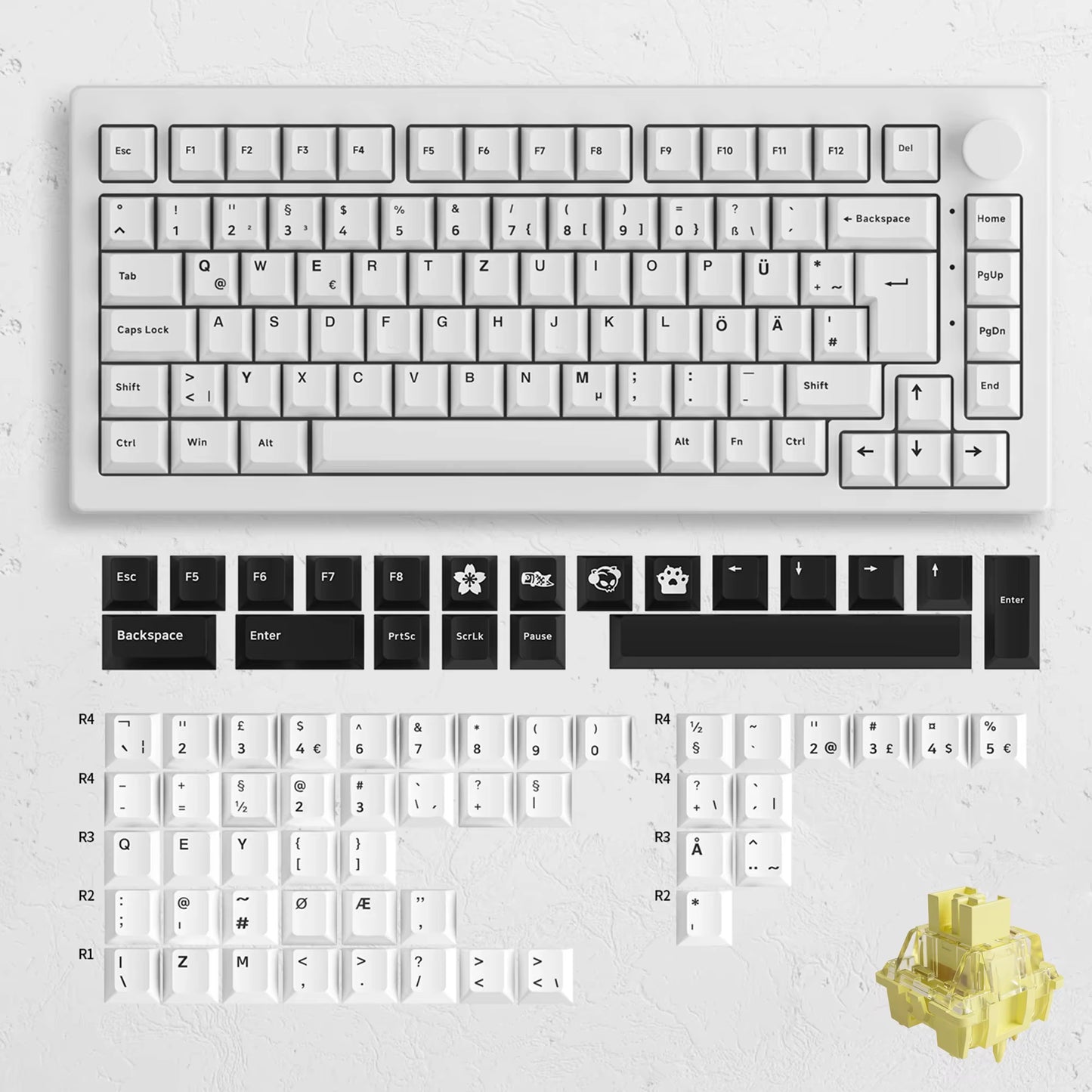 Akko 5075B Plus 75% Mechanical Keyboard – ISO-UK, Hot-Swap, RGB Side Lights, 3-Mode Wireless