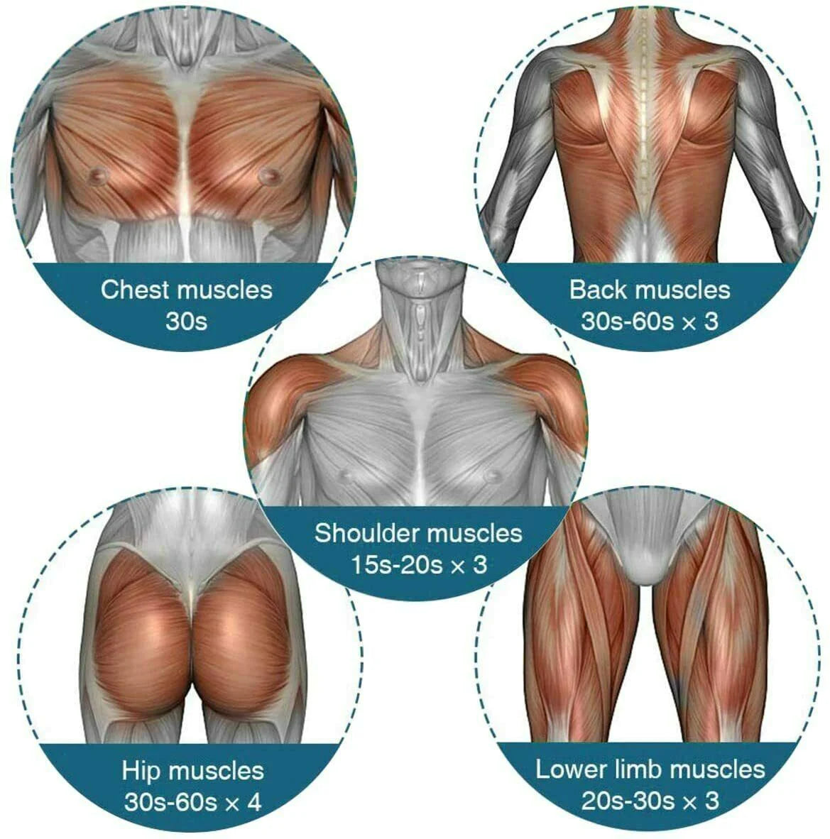 Deep Tissue Percussion Massage Gun with 6 Speeds + 4 Heads