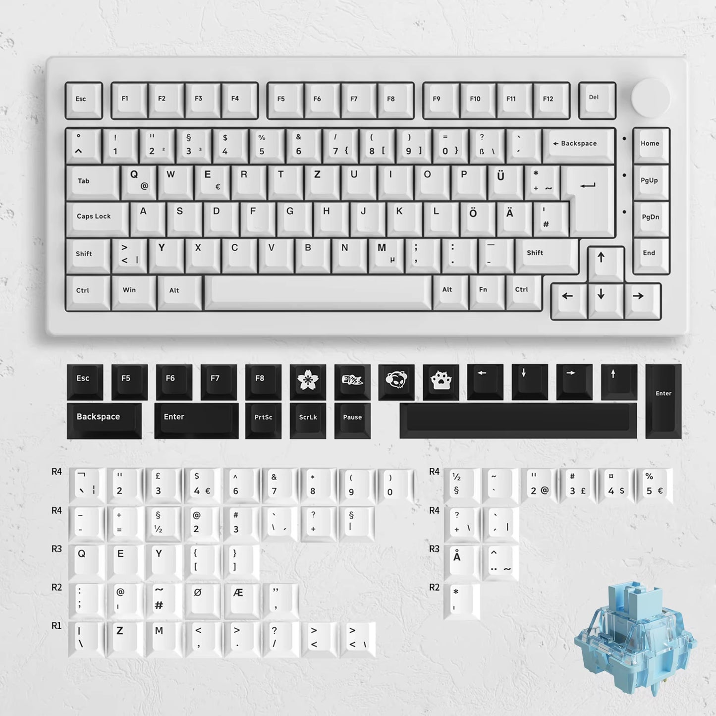 Akko 5075B Plus 75% Mechanical Keyboard – ISO-UK, Hot-Swap, RGB Side Lights, 3-Mode Wireless