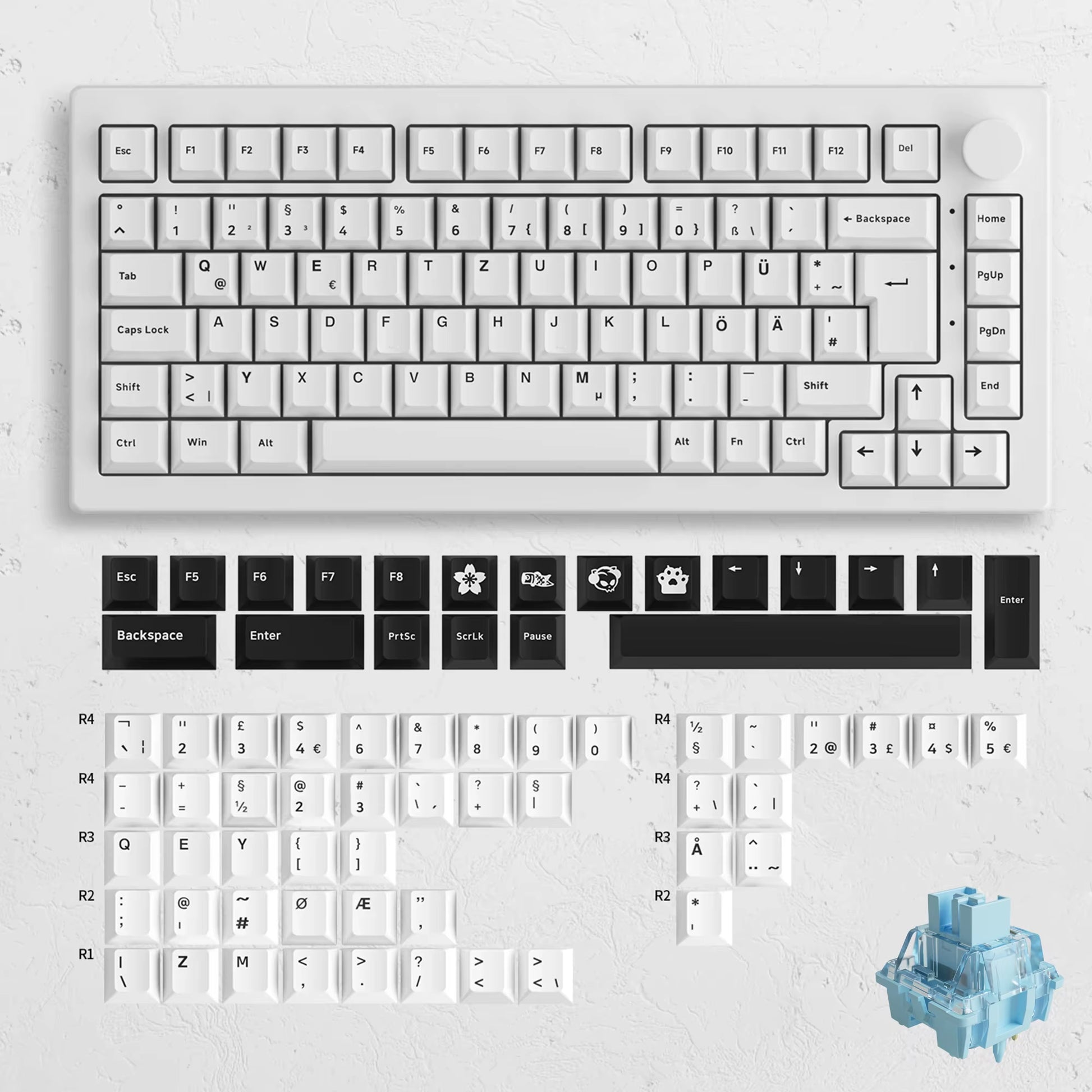 Akko 5075B Plus 75% Mechanical Keyboard – ISO-UK, Hot-Swap, RGB Side Lights, 3-Mode Wireless